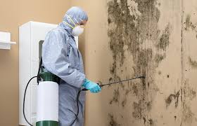 Best Mold Removal for HVAC Installations in Mansfield, OH